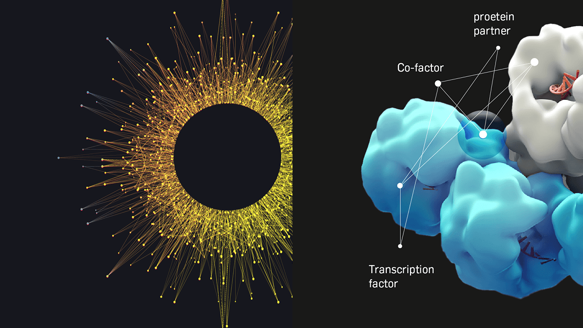 Flare Infographic example and hero graphic of a burst of rays